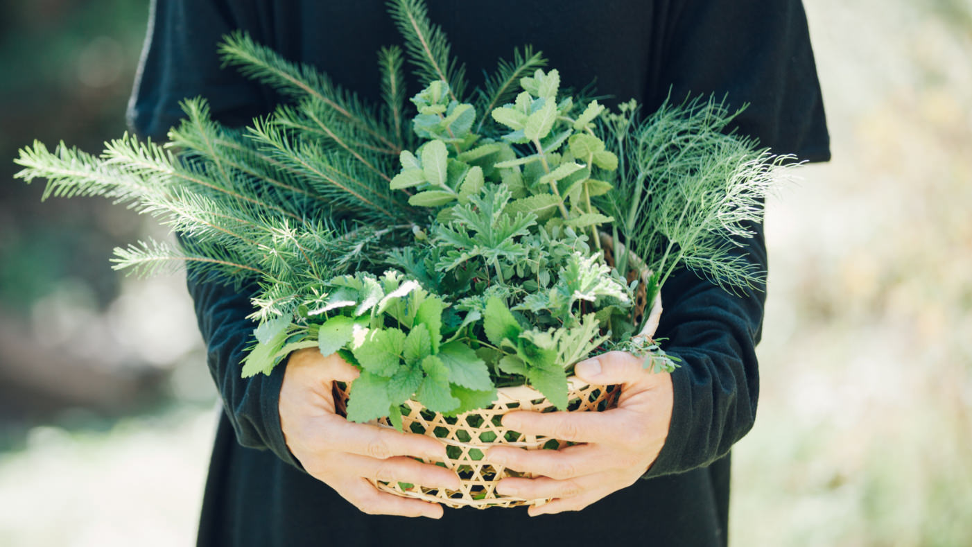 コンセプトイメージ