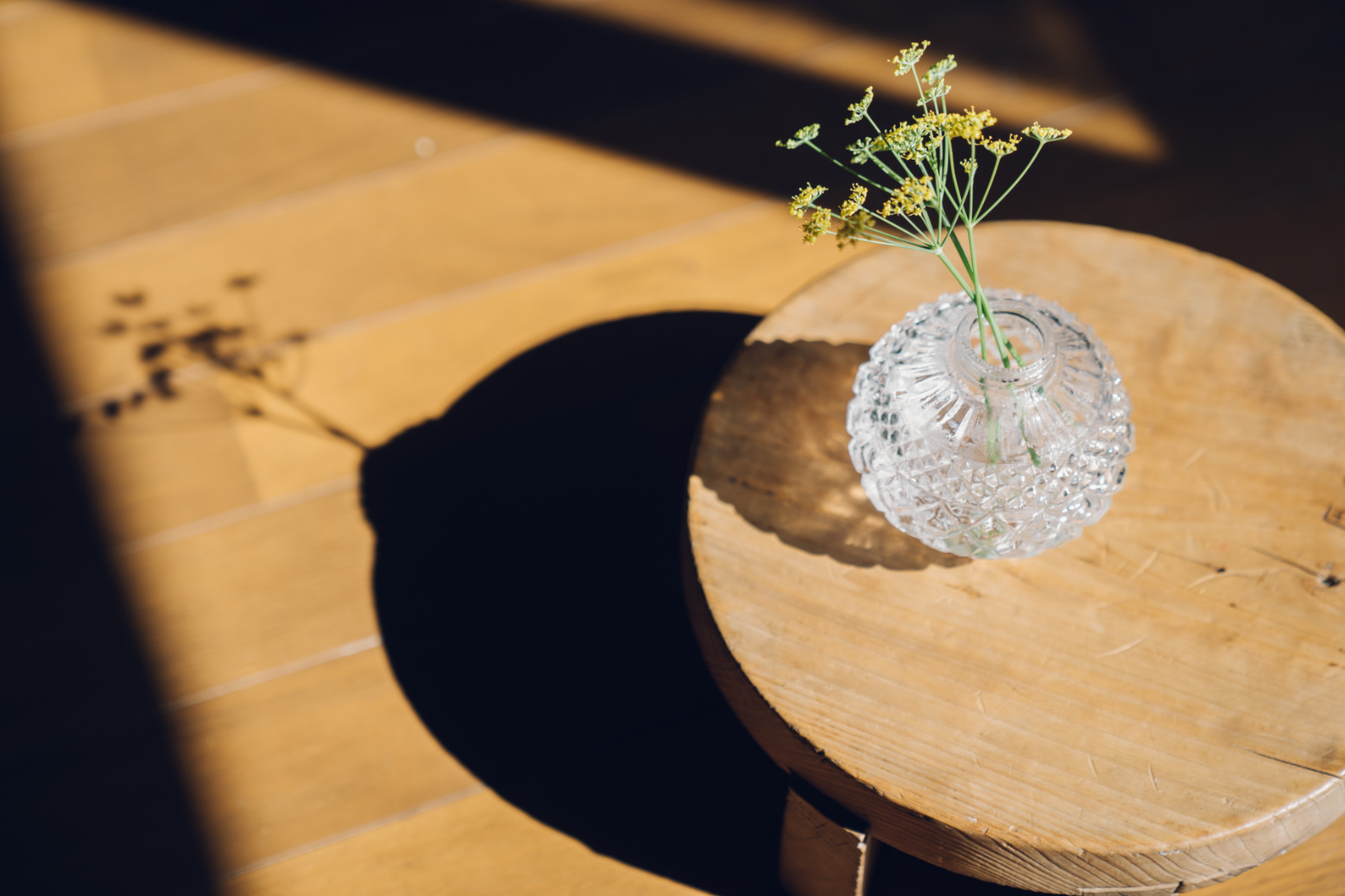 ライフストーリー・カウンセリング＆ムービー